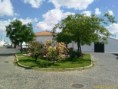 /album/diversas-fotos-de-trigaches/largo-pedro-soares-jpg/